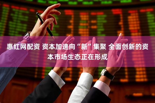 惠红网配资 资本加速向“新”集聚 全面创新的资本市场生态正在形成