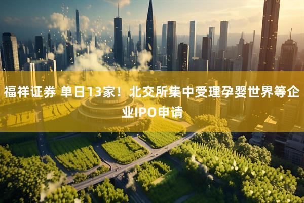 福祥证券 单日13家！北交所集中受理孕婴世界等企业IPO申请
