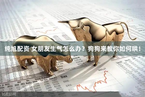 纯旭配资 女朋友生气怎么办？狗狗来教你如何哄！